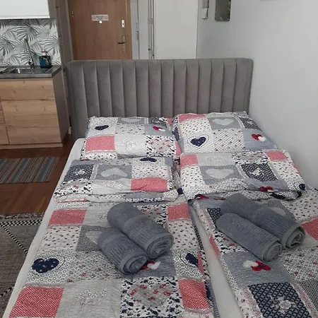 Aparta Lotnisko Apartment