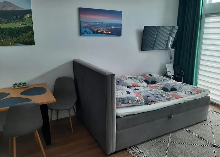 Aparta Lotnisko Appartement